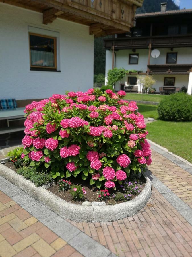 Haus Wildauer Hotell Mayrhofen Exteriör bild